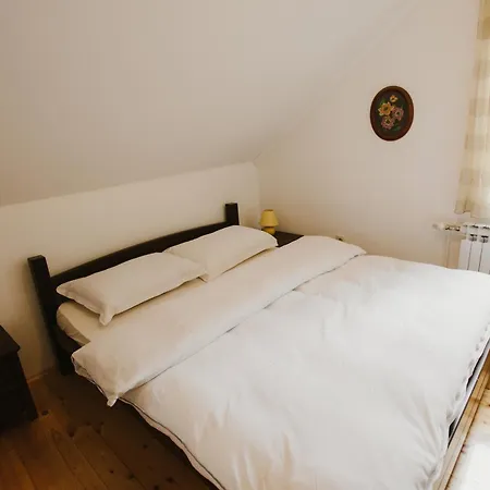 Vikendica Tara Chalet *